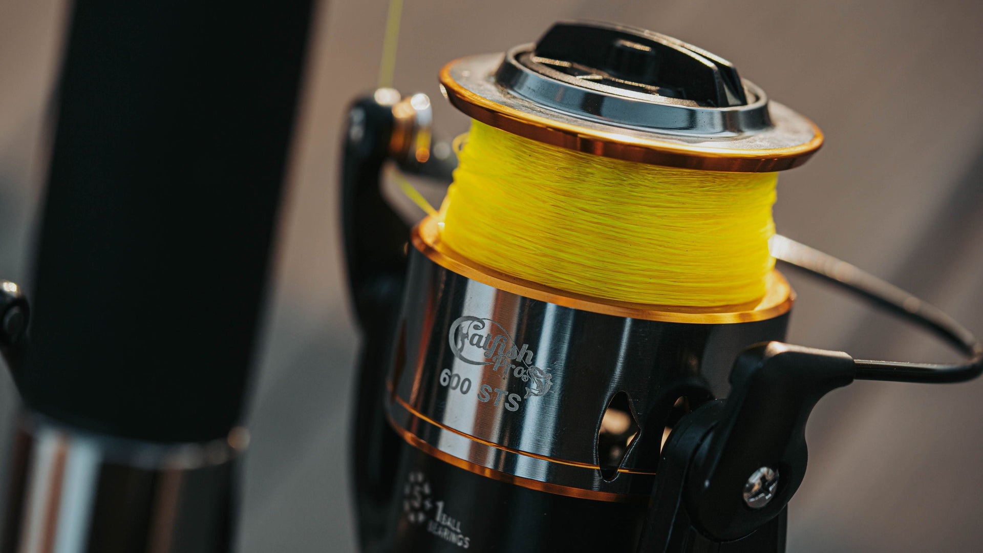 Spinning Reels - Catfish Pro