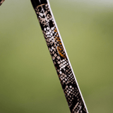 1 of 220 The Rattlesnake Spinning Rod - Limited Edition Rod - Catfish Pro