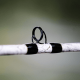 1 of 220 The Testament of Time Casting Rod - Limited Edition Rod - Catfish Pro