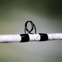 1 of 220 The Testament of Time Casting Rod - Limited Edition Rod - Catfish Pro