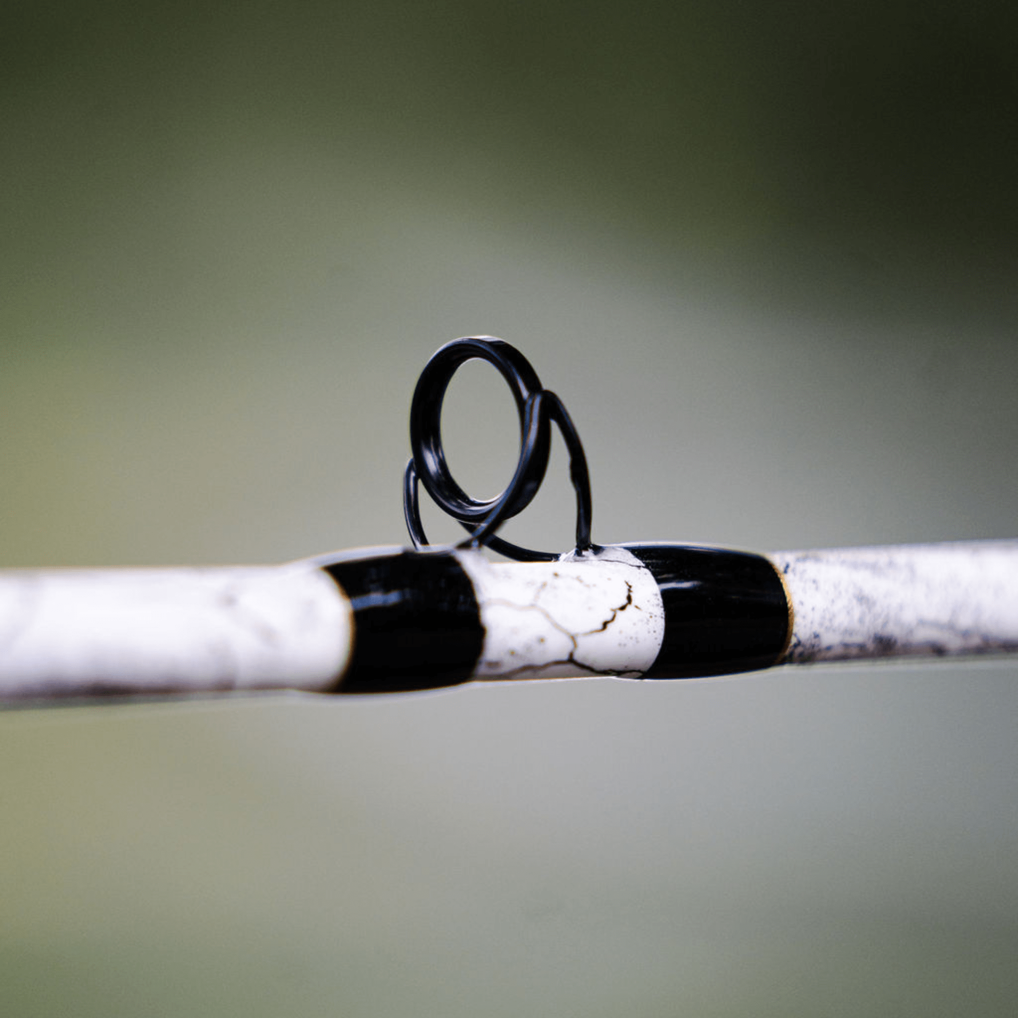 1 of 220 The Testament of Time Casting Rod - Limited Edition Rod - Catfish Pro