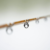 1 of 220 The Tiger Spinning Rod - Limited Edition Rod - Catfish Pro
