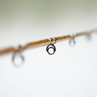 1 of 220 The Tiger Spinning Rod - Limited Edition Rod - Catfish Pro