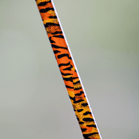 1 of 220 The Tiger Spinning Rod - Limited Edition Rod - Catfish Pro