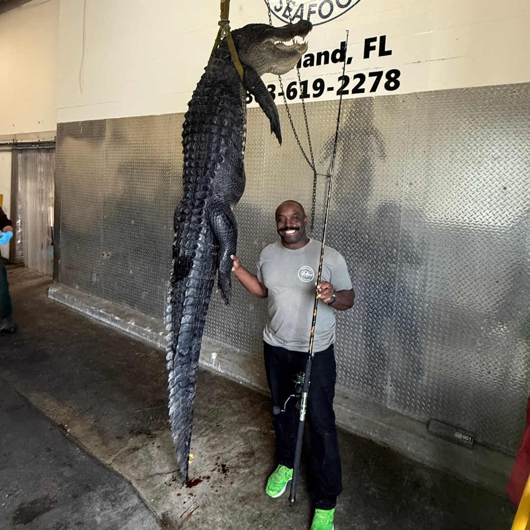 Black Dragon Fire Spinning Glow Rod