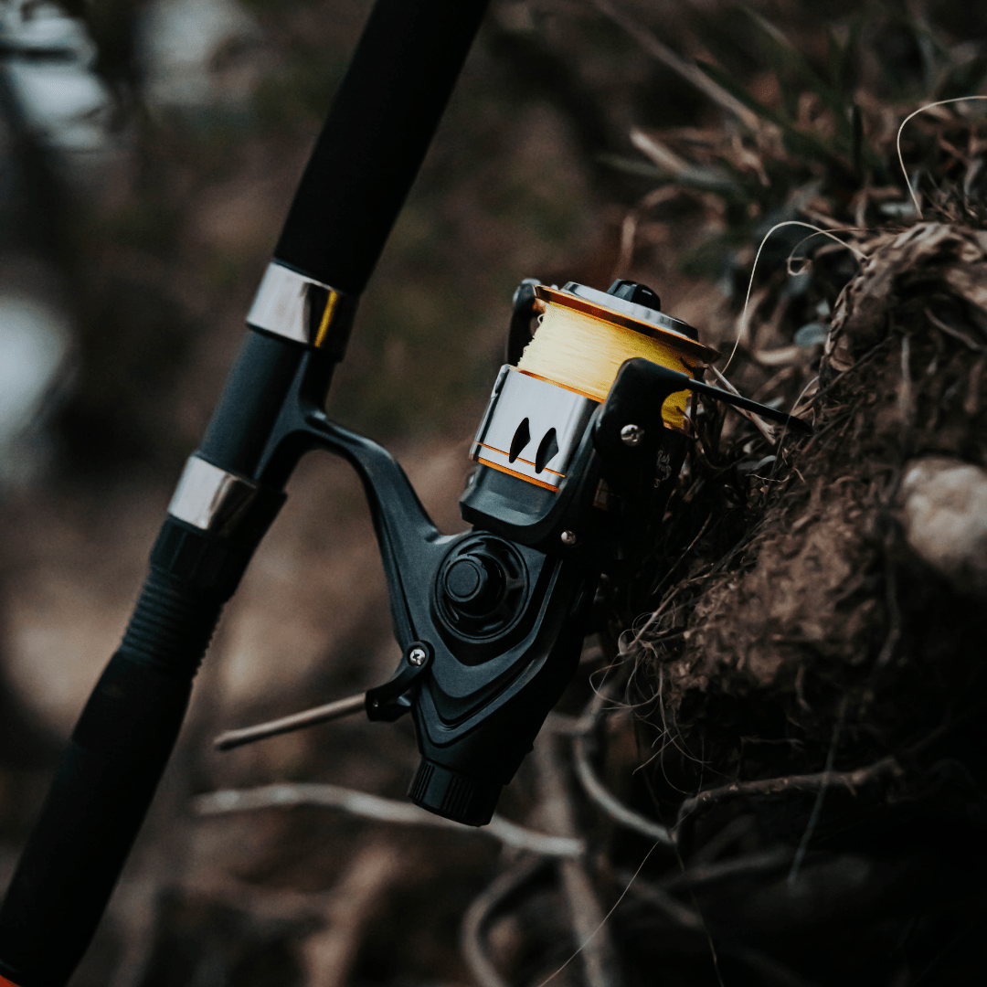 600STS Spinning Reel - Catfish Pro