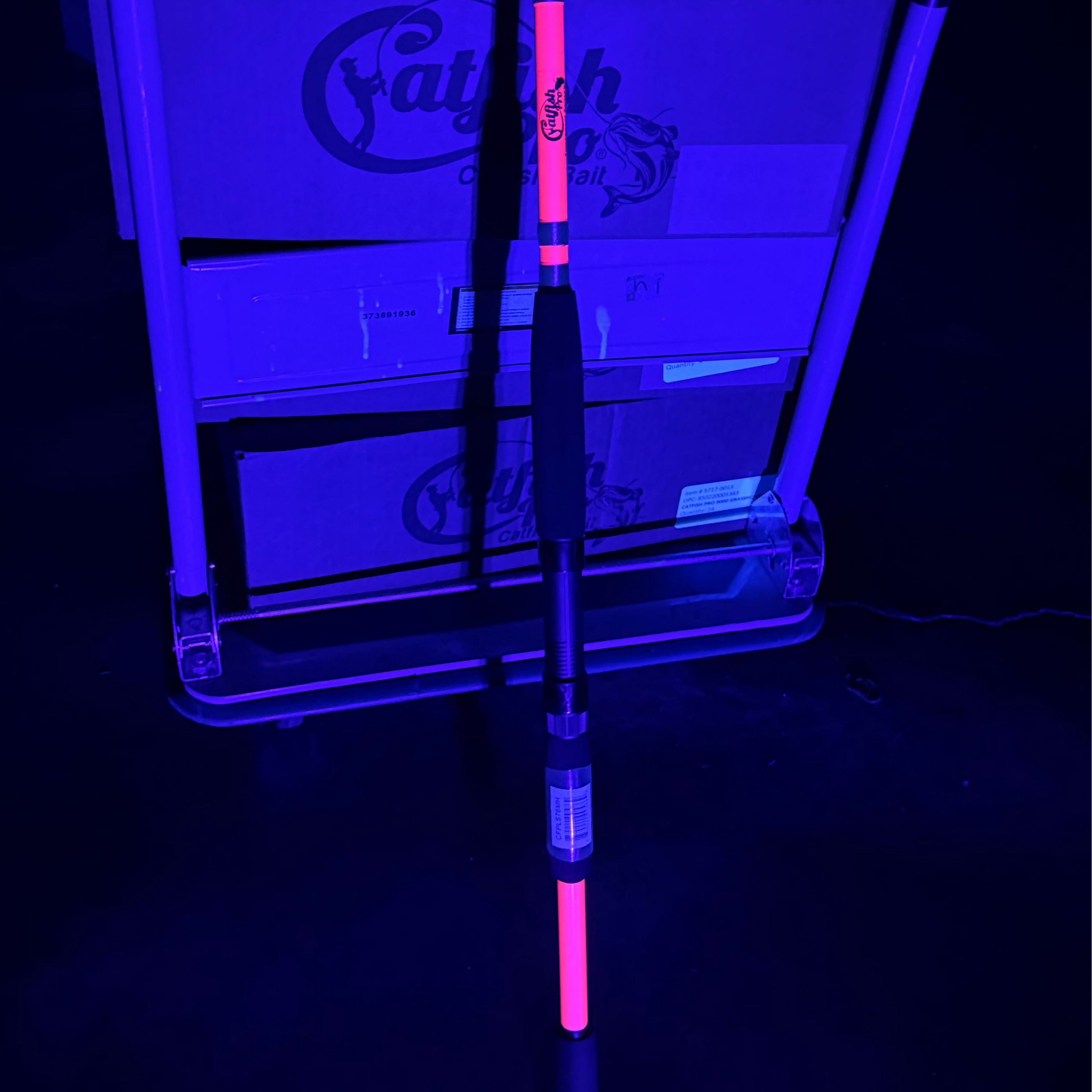 Rod glowing in the blacklight 