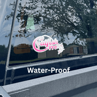 Catfish Pro Logo Car/Boat Decal - Catfish Pro