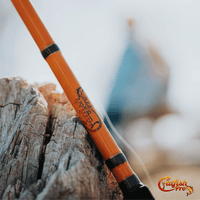 Fishing For Fun Spinning Rod - Catfish Pro
