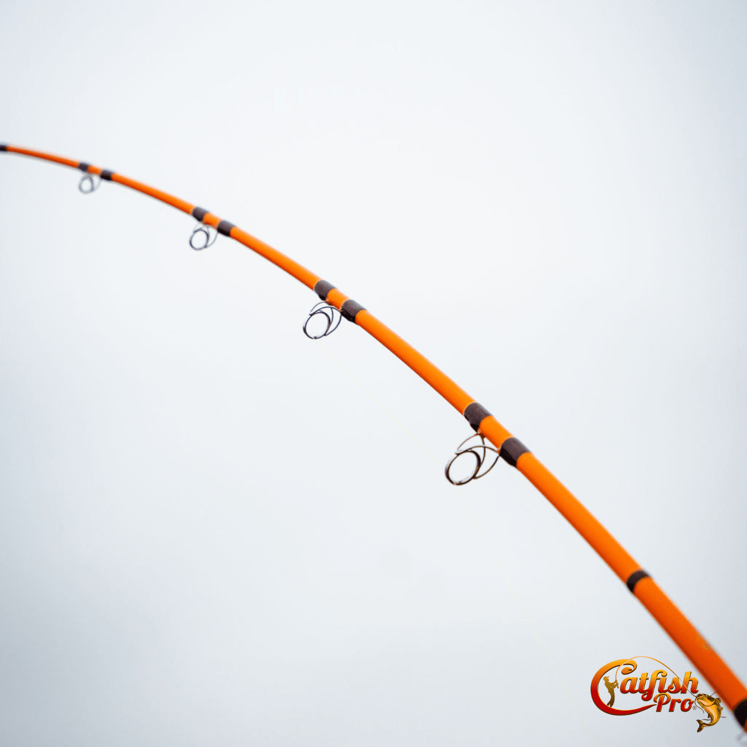 best medium fishing pole for catfish Pro Fun Rod on purpose Big Catfish Best Catfish Rods