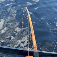 Orange Dragon Fire Spinning Glow Rod - Catfish Pro