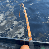 Orange Dragon Fire Spinning Glow Rod - Catfish Pro