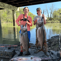 Tournament Series Pink Spinning Rod - Catfish Pro