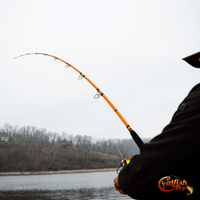 Tournament Series Spinning Rod - Catfish Pro